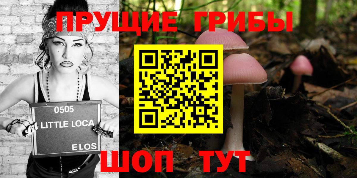 Псилоцибиновые грибы GOLDEN TEACHER Алексин